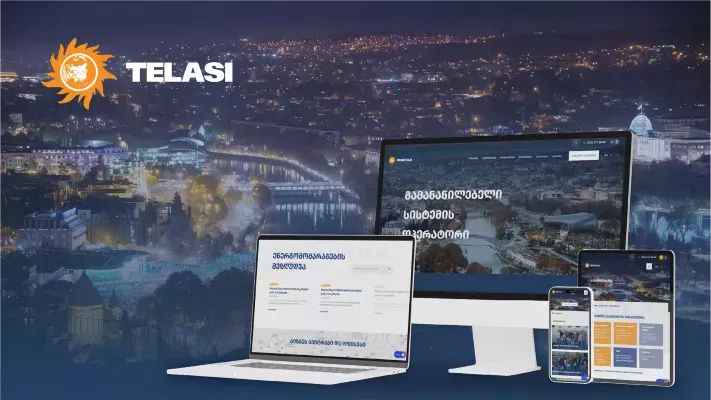 შესრულებული პროექტი - თელასი